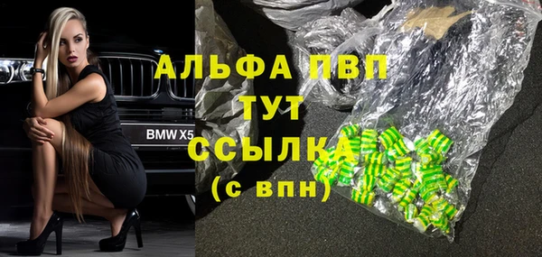 молекула духа Алексин