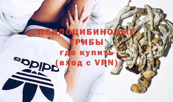 молекула духа Алексин