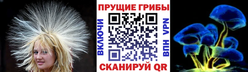 Галлюциногенные грибы Psilocybe  Мытищи 